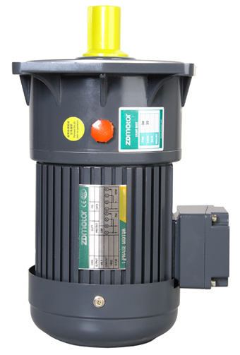 Shaft Dia 18mm Small AC Gear Motor (Vertical)
