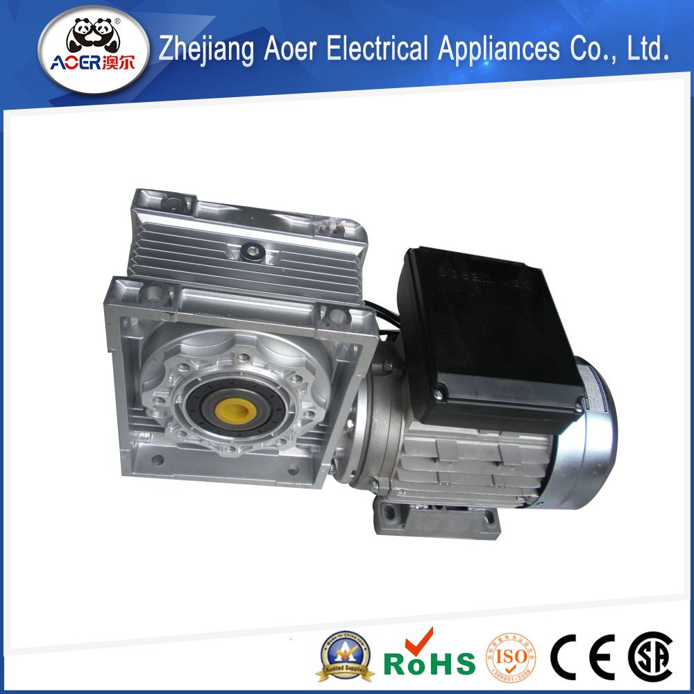 Sophisticated Technology Hot Sale Serviceable Electrical Induction Motor
