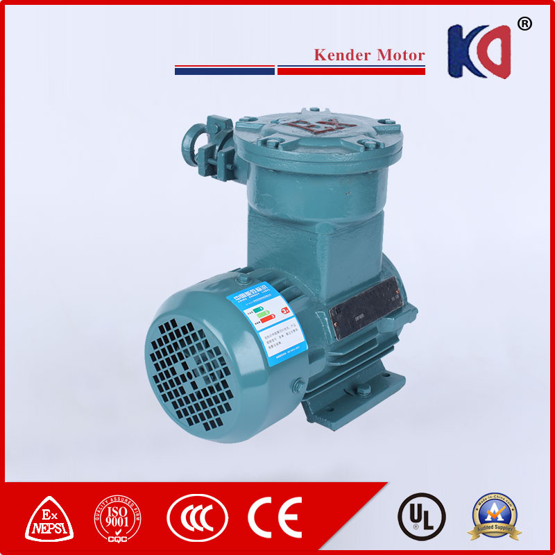 AC Electric Motors Explosion Proof Three-Phase Motor