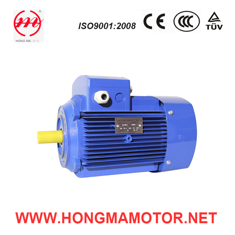 Ie2 Induction Motor/AC Electric Motor