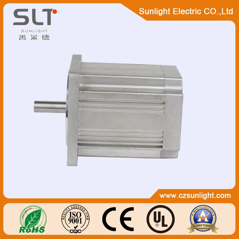 1.6A Rated Current Protected Brushless DC Motor