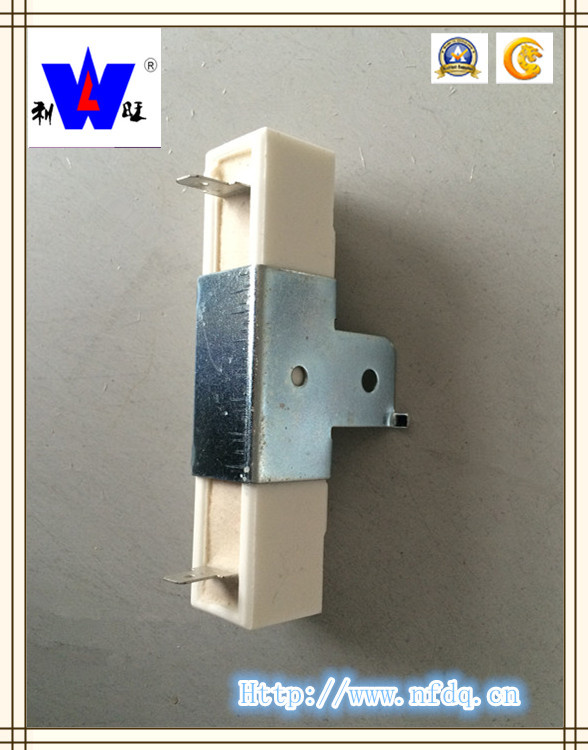 Ceramic Fixed Resistor with ISO9001