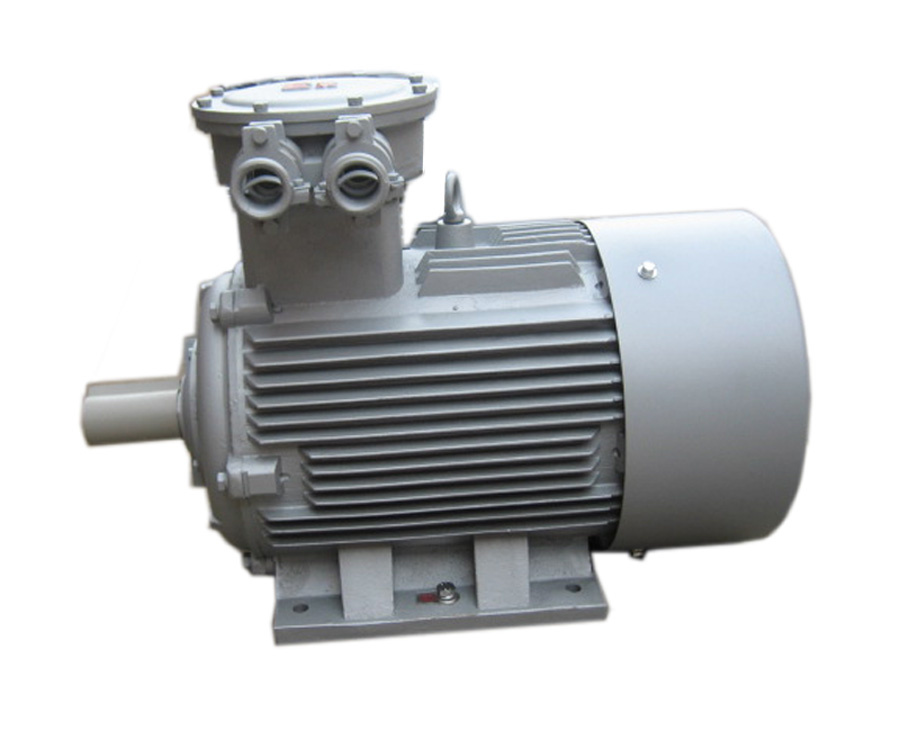 Explosion Proof Motor