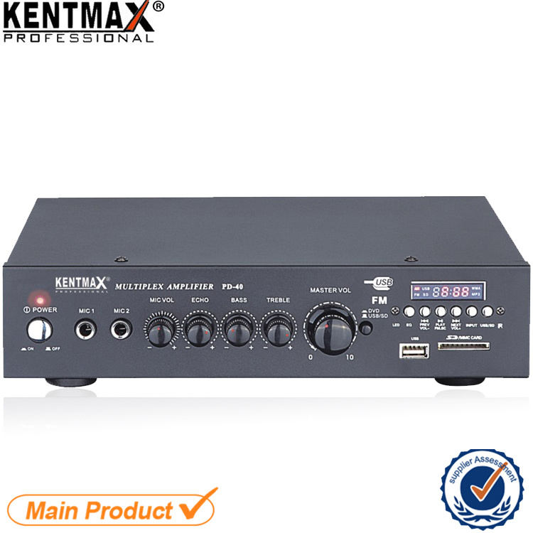Professional Stage Audio Power Amplifier with USB/SD