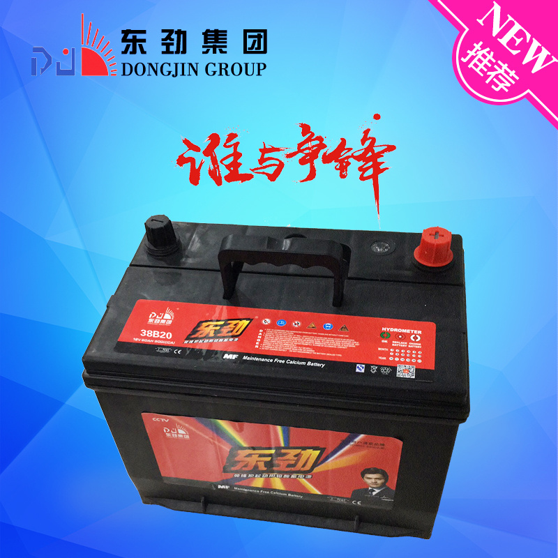 38b20 Deep Cycle Storage Car Battery with Free Maintenance