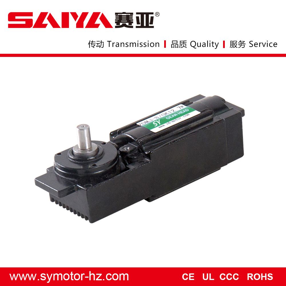 Electric Roller Shutter Door Motor DC Gear Motor for Automation Equipment