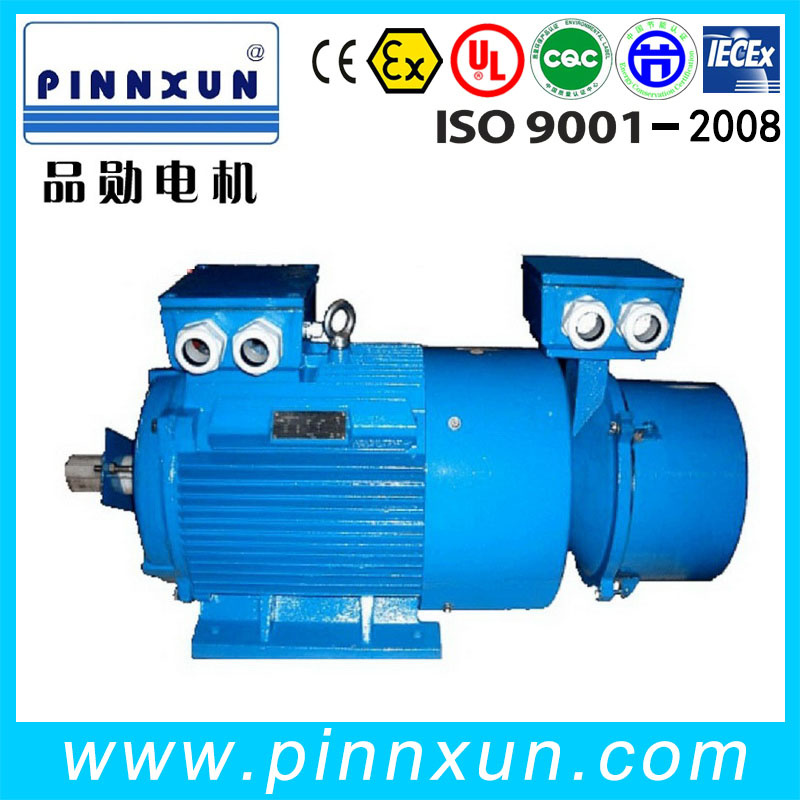 Yr Woud Rotor Motor 55kw