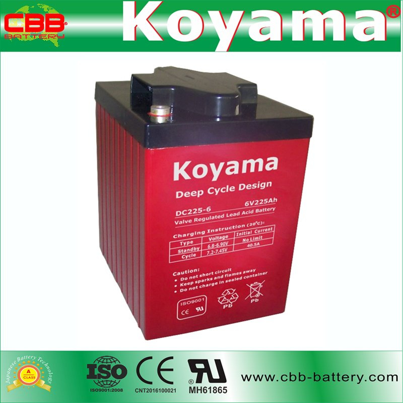 Guangzhou 6V 225ah Deep Cycle Marine Battery DC225-6