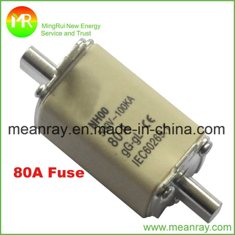 Nh Fuse 80A with Fuse Holder