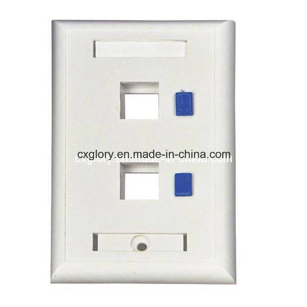 2 Port USA Type Long Faceplate