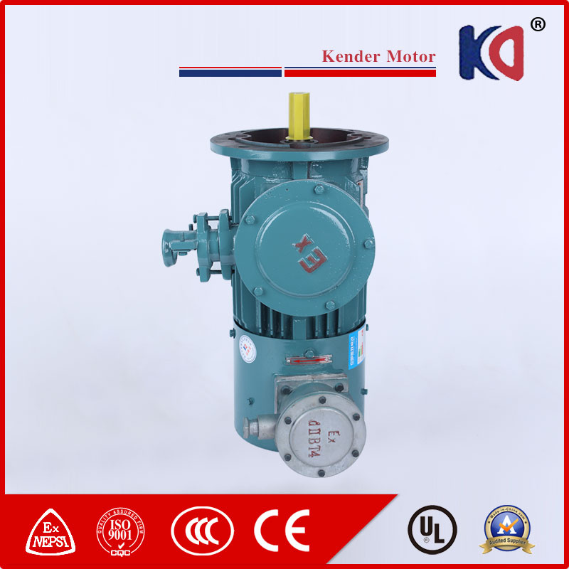 Frequency Conversion Flameproof Induction Motor