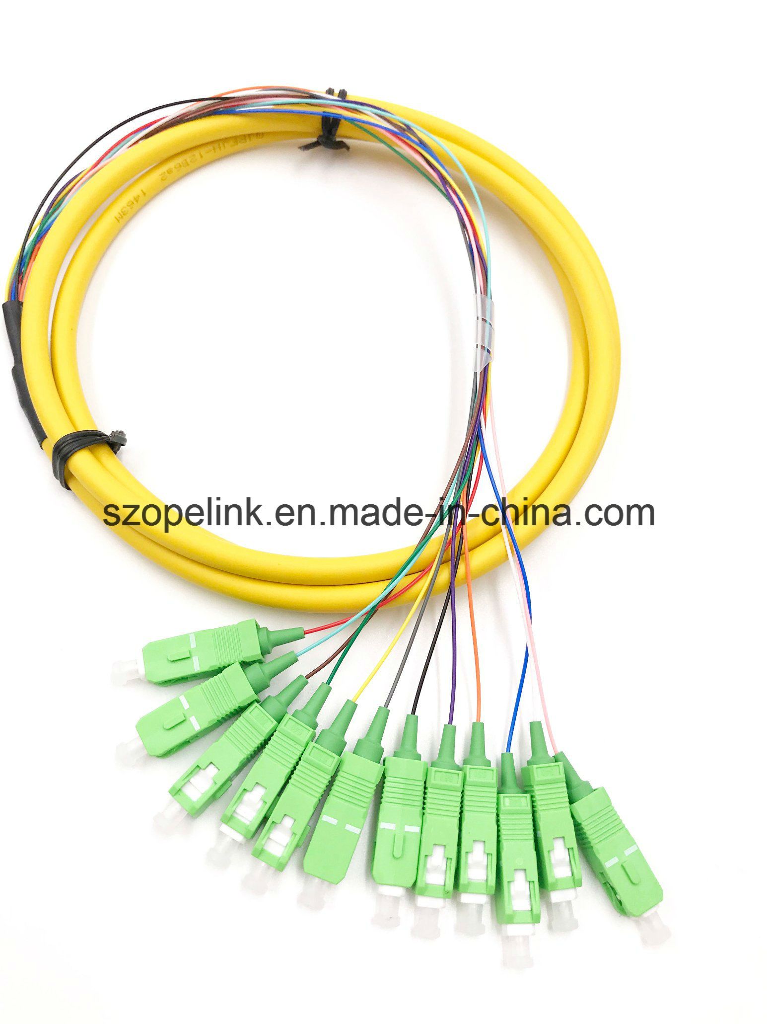 12 Core Bound Optical Fiber Pigtail, 0.9mm, Fanout 0.5m, PVC, for Network and Wireless