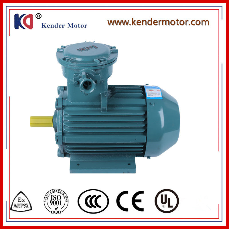 Yb3 Series AC Asynchronous 45kw Explosion Proof Motor
