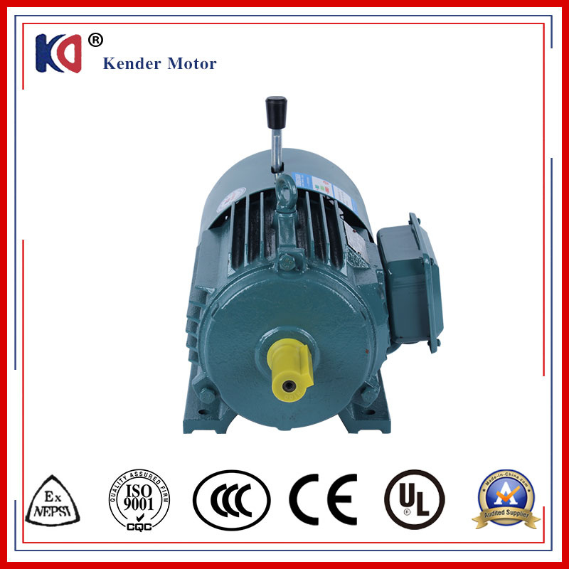 AC Electric Phase Asynchronous Motor with High Torque