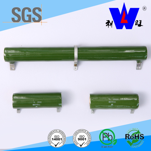 Rx20 Enamel Fixed Resistor with ISO9001