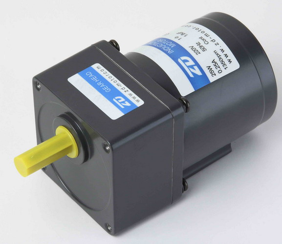 ZD 60mm 6 (10) W AC Reversible Gear Motor