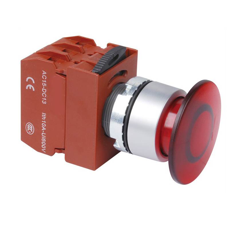 Big Head LED Push Button Switch C2pim4