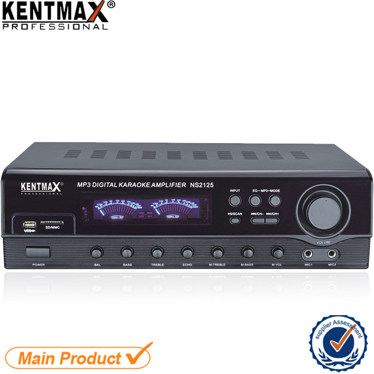 Home HiFi Mini Equalizer Audio Power Amplifier