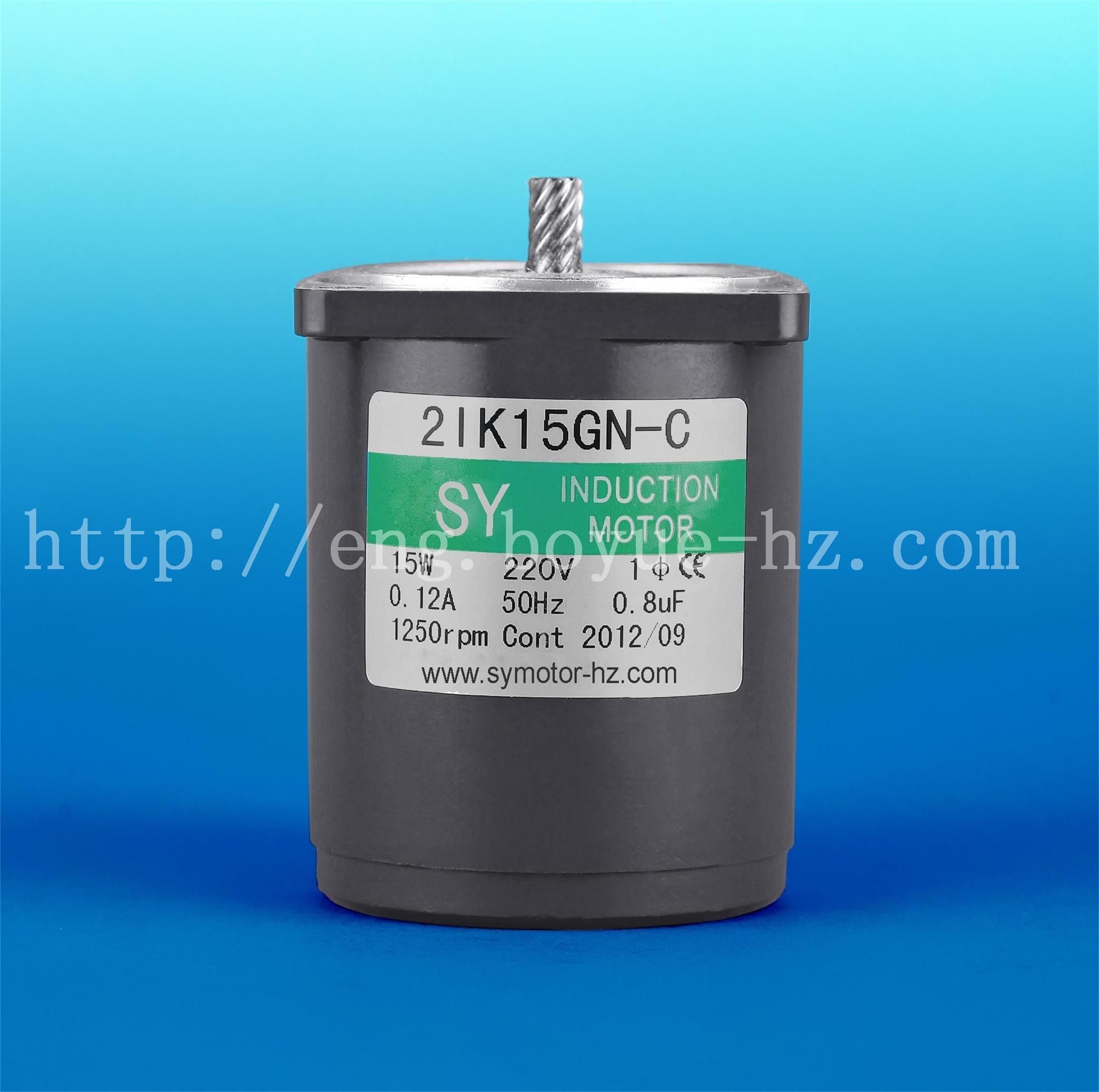 Induction AC Gear Motor 15W