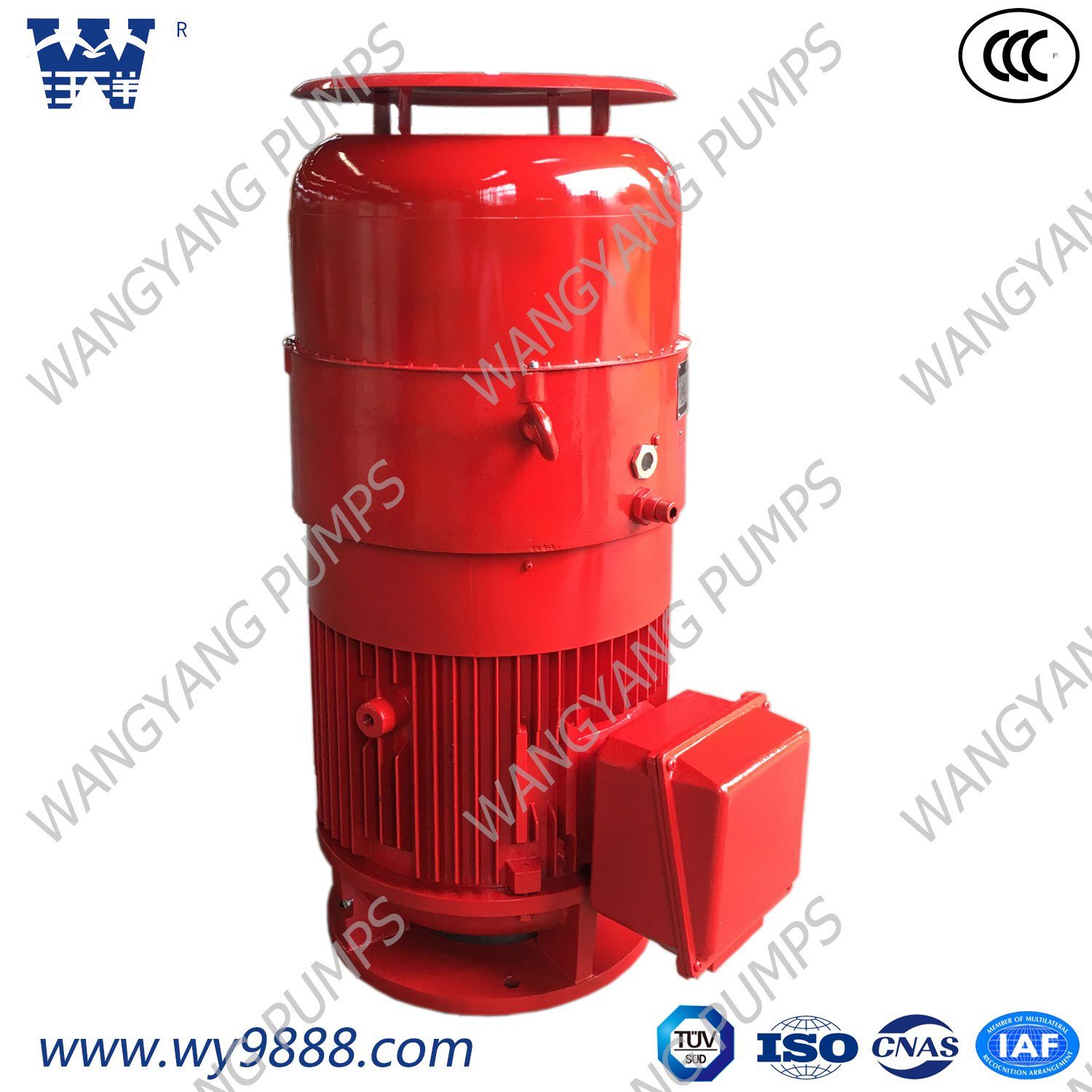 Vertical Hollow-Shaft Asynchronous Squirrel-Cage Induction Electric Motor IP54 Series