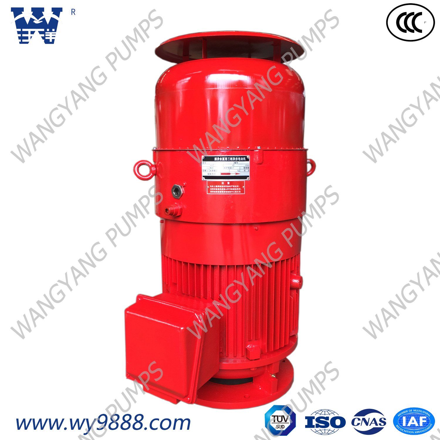 Four-Stage Vertical Hollow-Shaft Asynchronous Vertical Turbine Pump Motor (IP44)