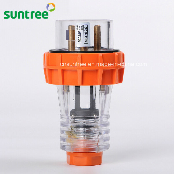 Australia 56p520 20A 5 Pin 250V 500V Industry Plug Socket