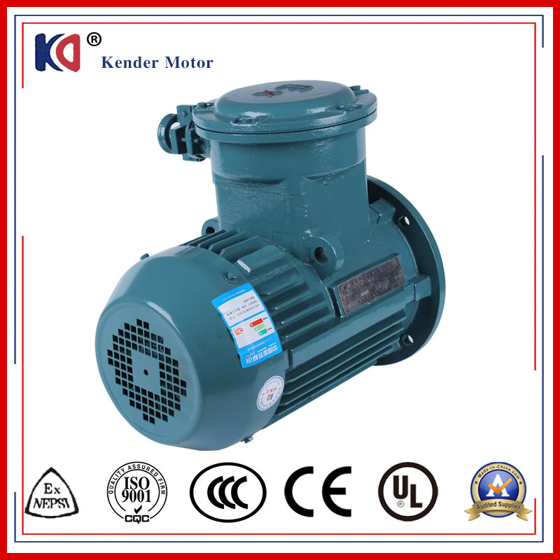 50Hz Explosion Proof Three Phase Electric AC Asynchronous Motor