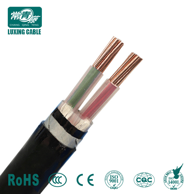 Factory Supply 2 Core 10mm2 LV Armoured XLPE Cable