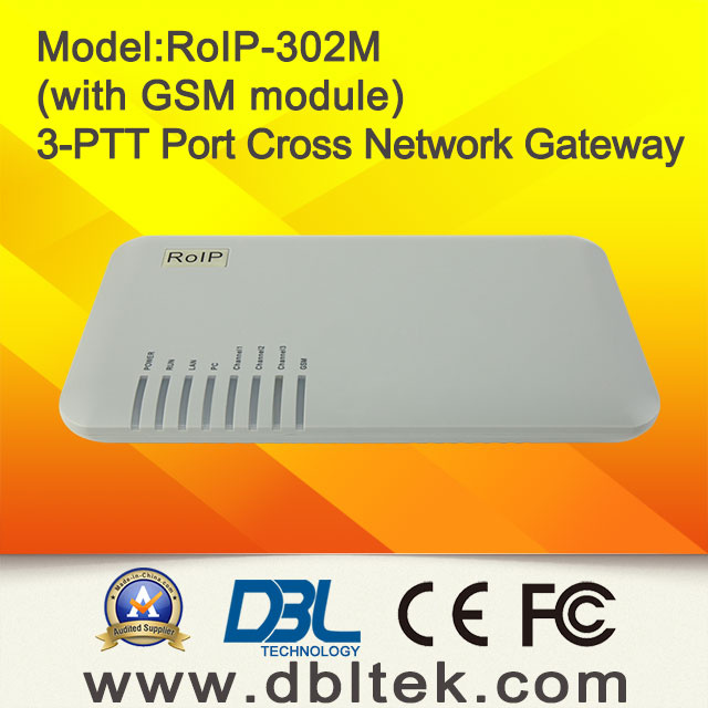 DBL Cross-Network Gateway (RoIP-302)