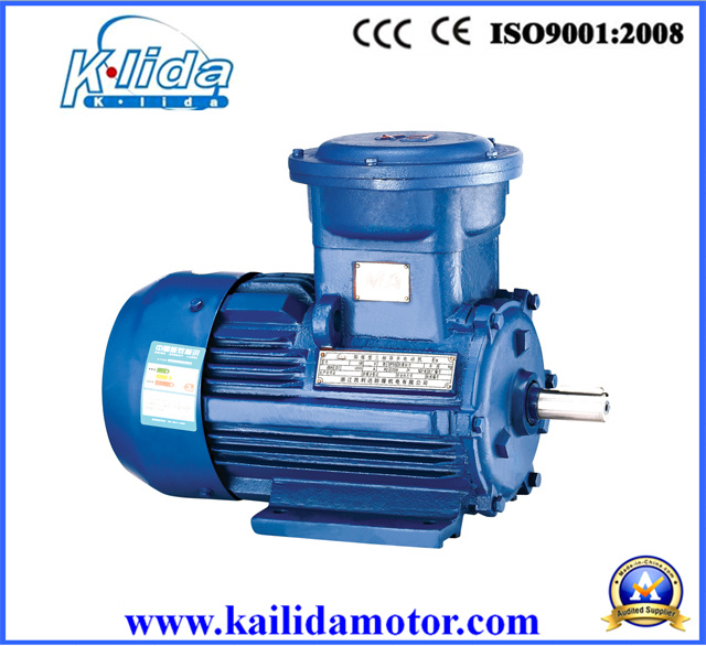 Three Phase Induction Electric Motor (cast iron) with CE Certificate OEM Supplier