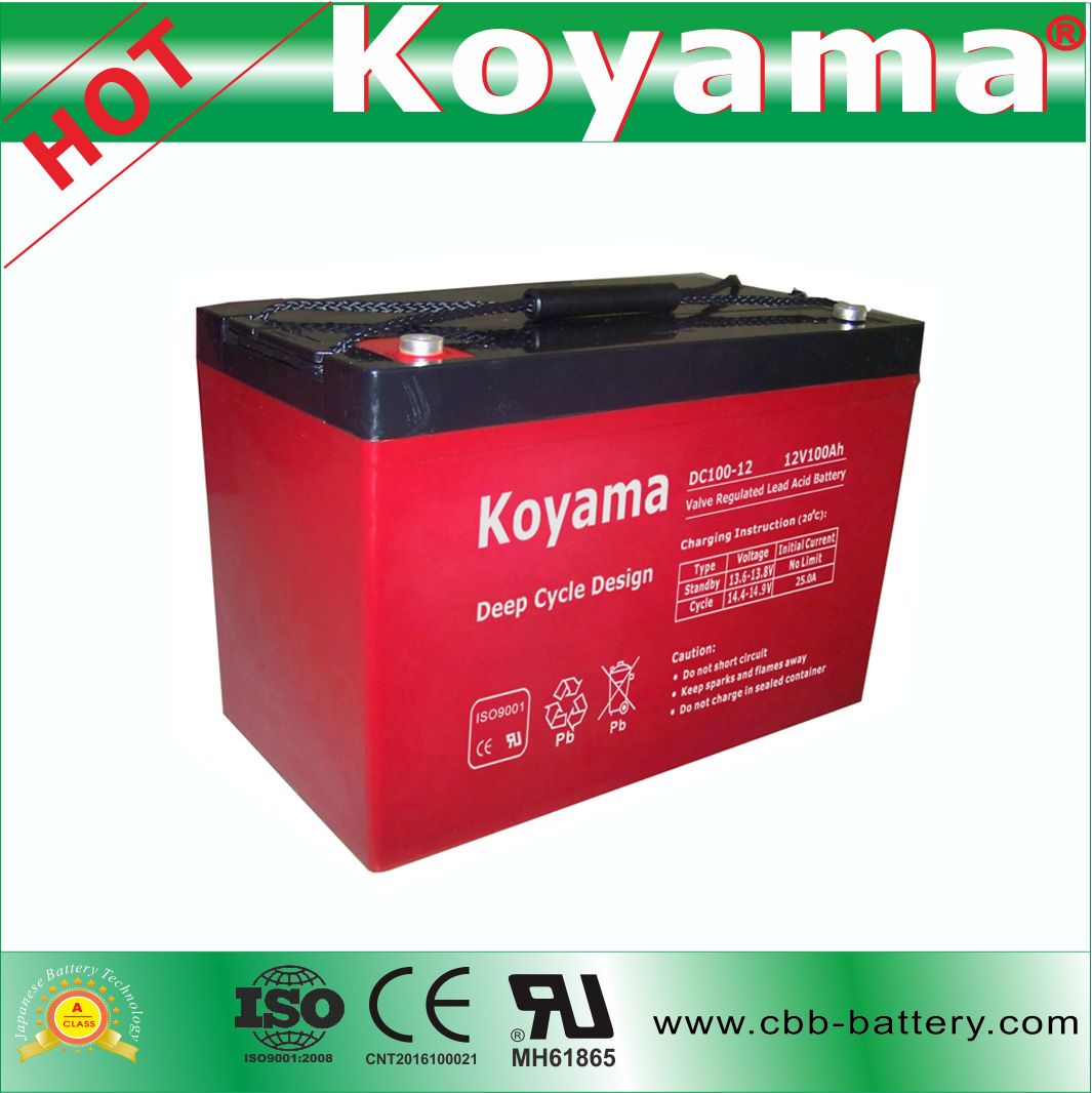 Long Cycle Life Deep Cycle AGM Storage Battery 12V105ah