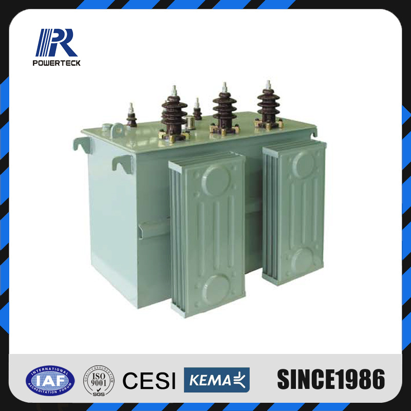 11kv 800kVA Hermetically Seal Tank Transformer Pole Mounted Type