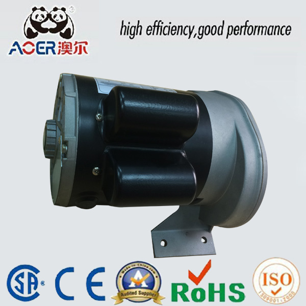 AC Asynchronous 115V Single Induction Motor Ppt