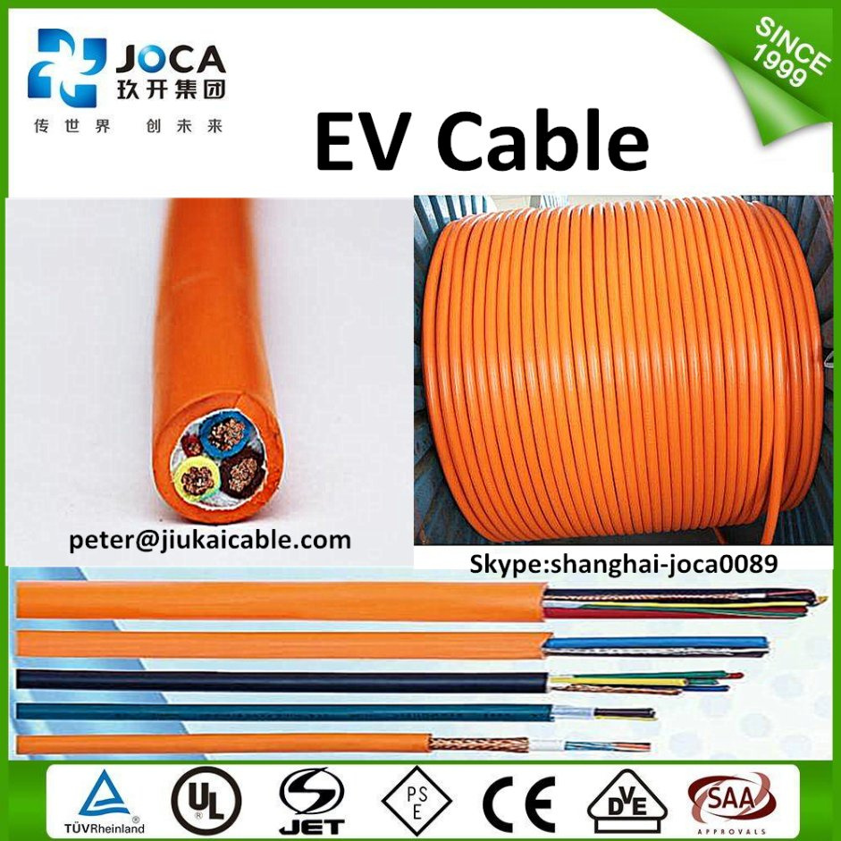 China Promotion OEM EV Charging Cable for Charging Plug