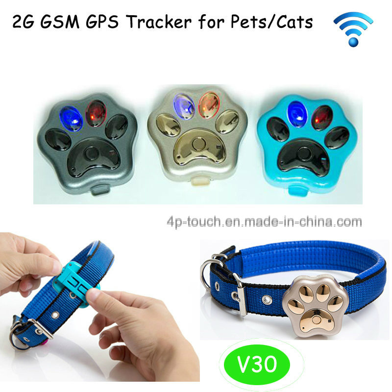 Most Popular Waterproof GPS Tracker for Pet (V30)