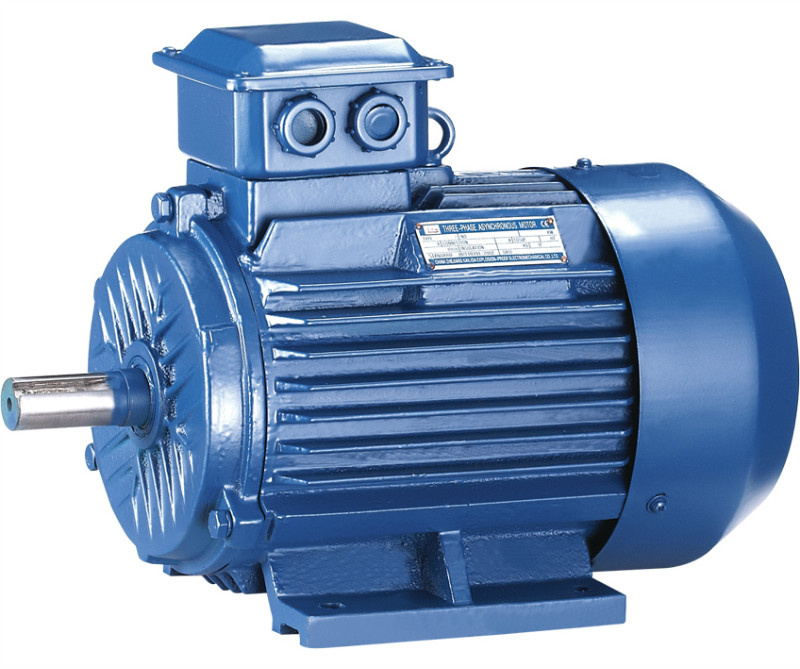 Ms Series Three-Phase Asynchronous Electric Motor