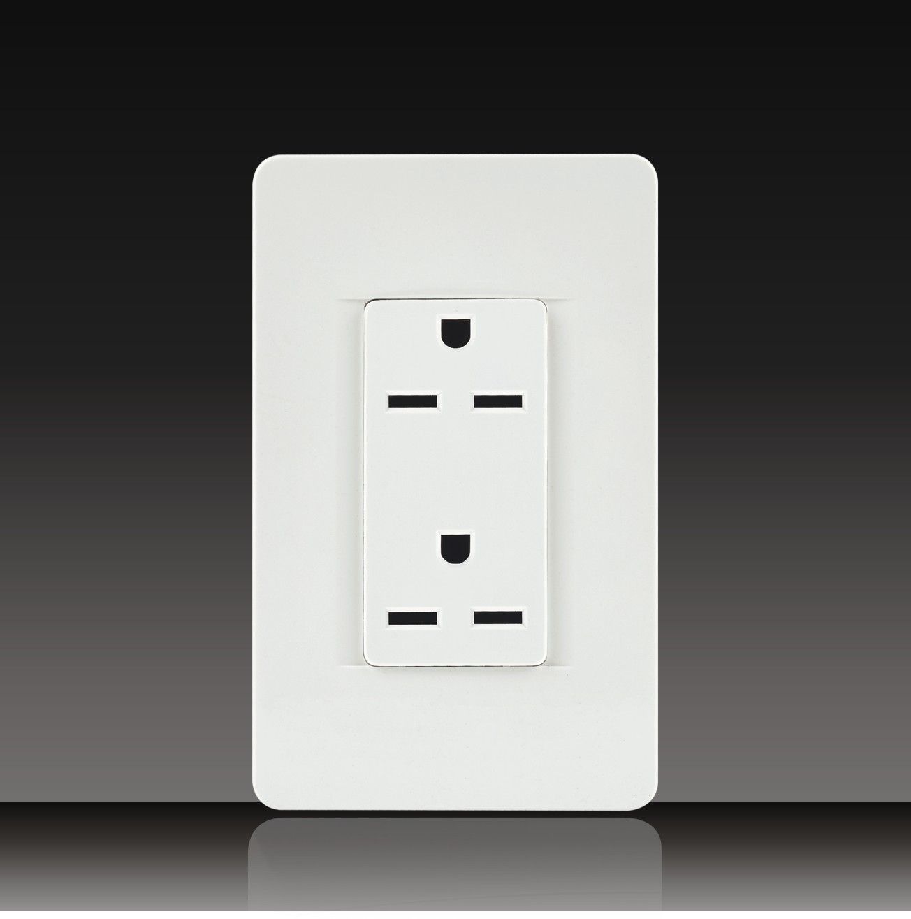 15A Receptacle Switch Socket with Plate (LGL-11-10)