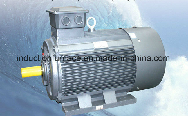 Electric Three Phase Asynchronous Squirrel-Cage Induction Motors Induction Motor