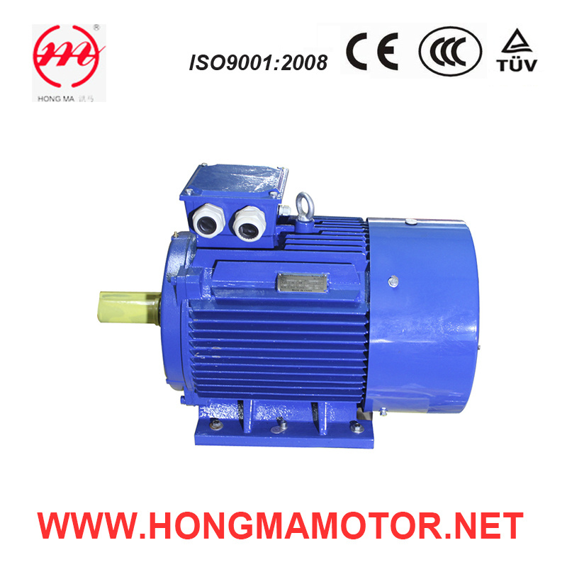 0.75~315kw Cast Iron Electric High Efficiency Three Phase Asynchronous Motor