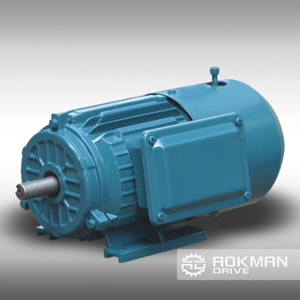 Die-Cast Iron Housing AC Motor with Brake (4 pole)