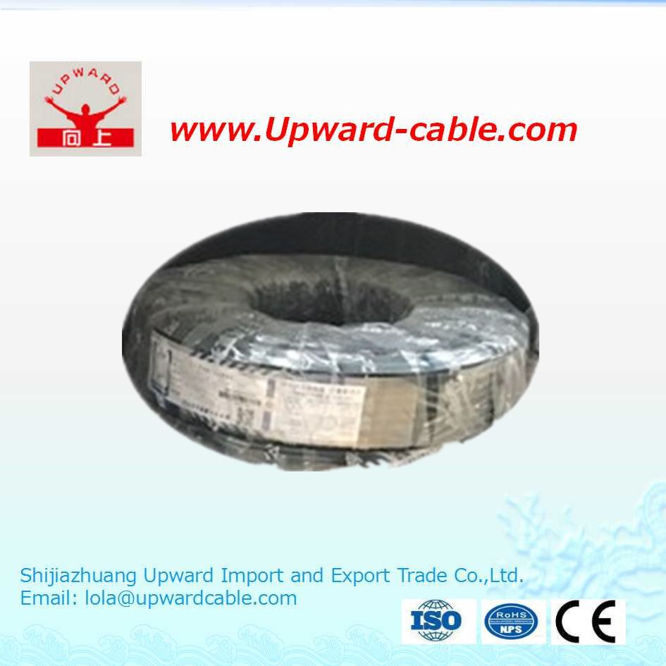 Low Voltage Copper Core PVC Insulation House Wiring Electrical Wire