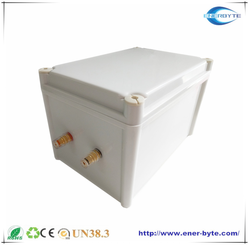 LiFePO4 Lithium Ion Battery Pack 12V 80ah with Case