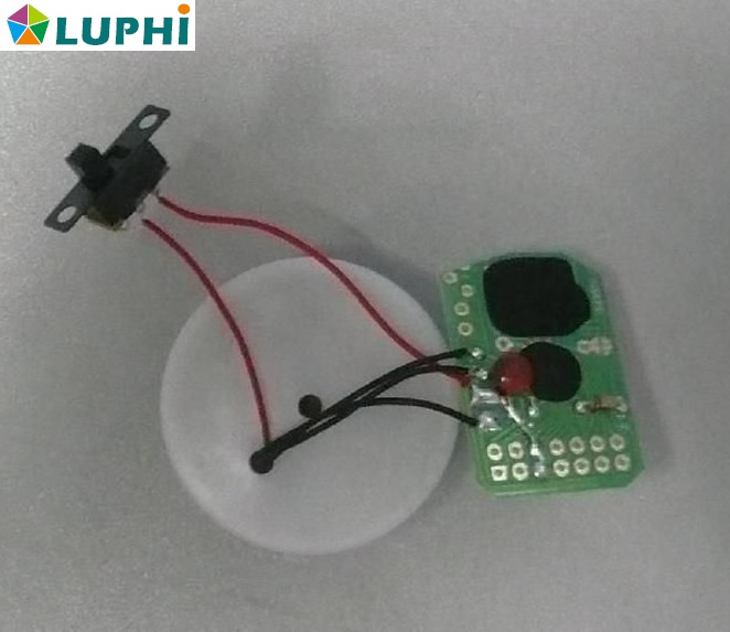 Box Build Assembly, Semi-Finished Project Assembly, PCBA (MIC0575)