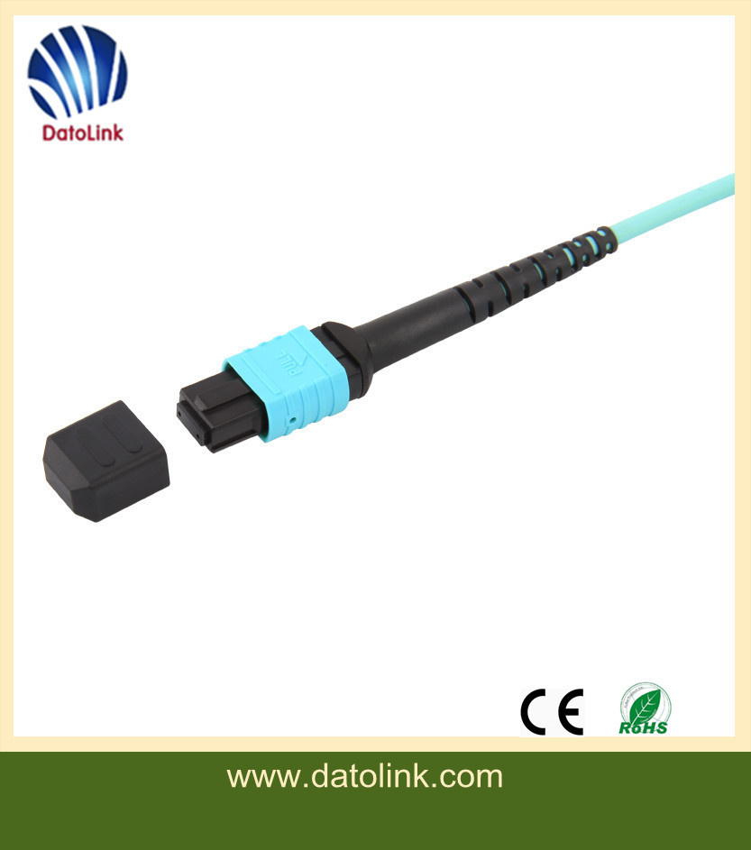 MPO Singlemode Duplex Fiber Optic Patch Cable