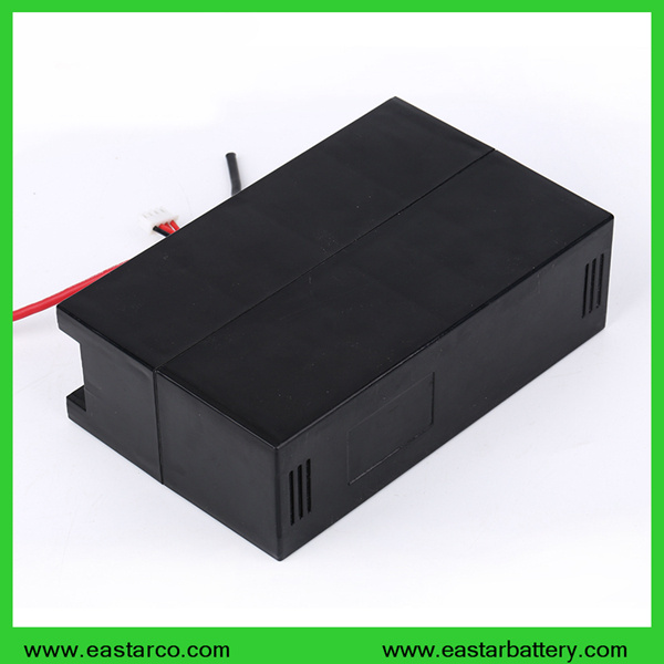 Lithium Battery 24V 10ah Lithium Battery Pack with Ce Certification for Sea E-Scooter