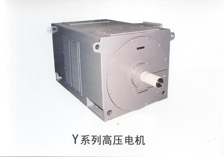 High Voltage Three Phase Induction Motor (Y series(IP23))