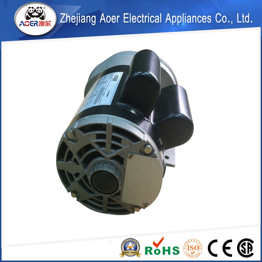 Low Power AC Single Phase Two Speed Electric Motor