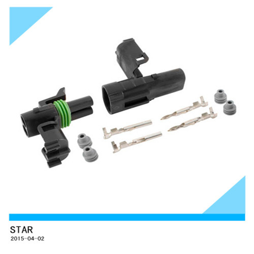Factory Customize 2 Pin Auto Series Wire Connector