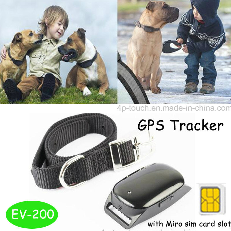 High Quality Newest Pet GPS Tracker with Real Time Tracking (EV-200)