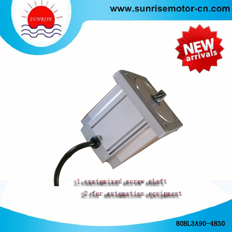 80bl3a90-4838 Micro BLDC Electric Brushless Motor BLDC Motor